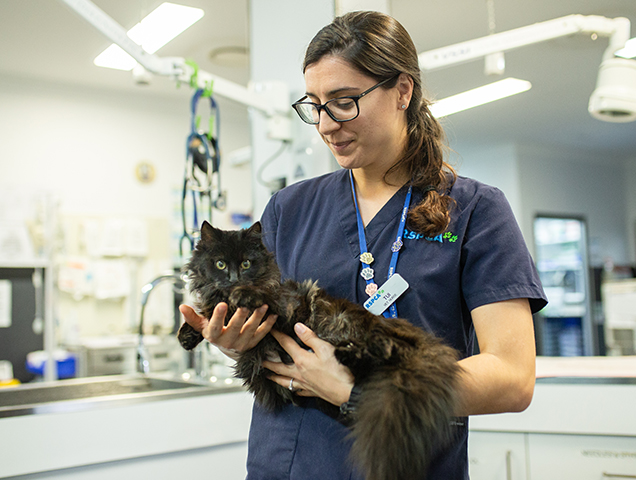 rspca veterinary nurse tui